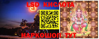 мдма Камышлов