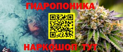 мдма Камышлов