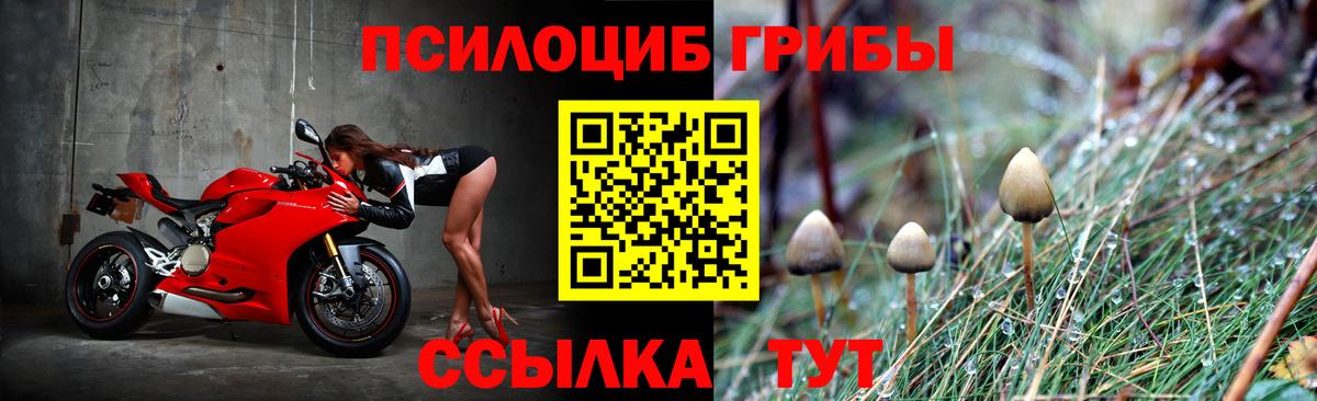 Краснодар  Галлюциногенные грибы GOLDEN TEACHER  Вход с VPN 